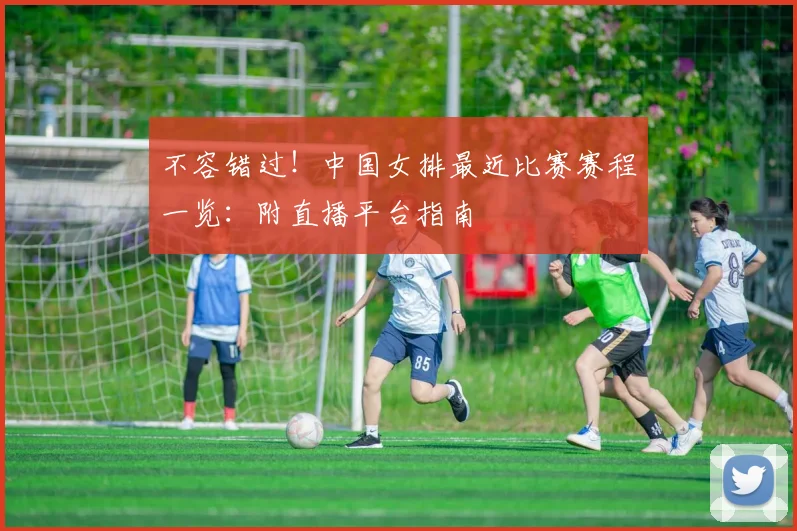 不容错过!中国女排最近比赛赛程一览:附直播平台指南