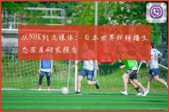 从NHK到流媒体:日本世界杯转播生态深度研究报告