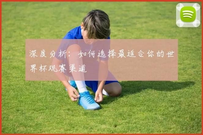 深度分析:如何选择最适合你的世界杯观赛渠道