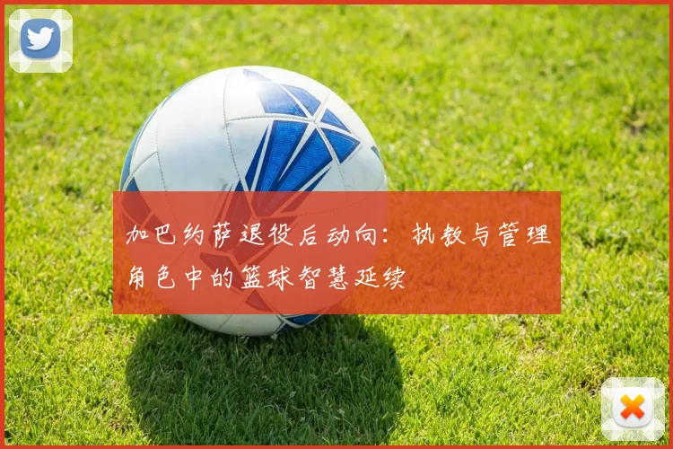 加巴约萨退役后动向：执教与管理角色中的篮球智慧延续