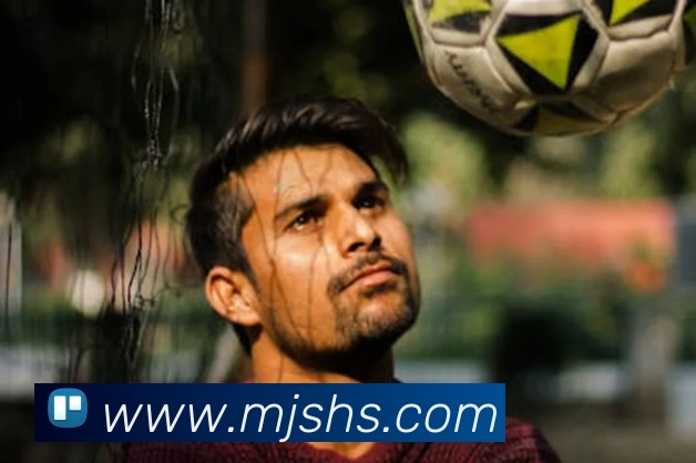 九游j9最新官网平台生态图