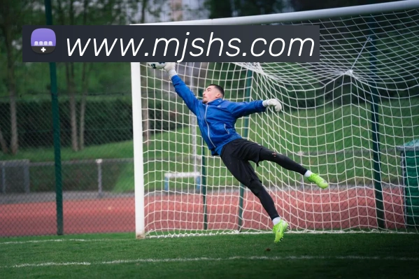 九游j9最新官网APP 封面图